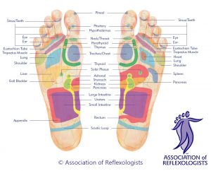 Reflexology Association of Reflexology Footmap at Beauty By Davinia Ashford Kent